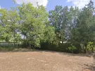 Pest megye - Albertirsa