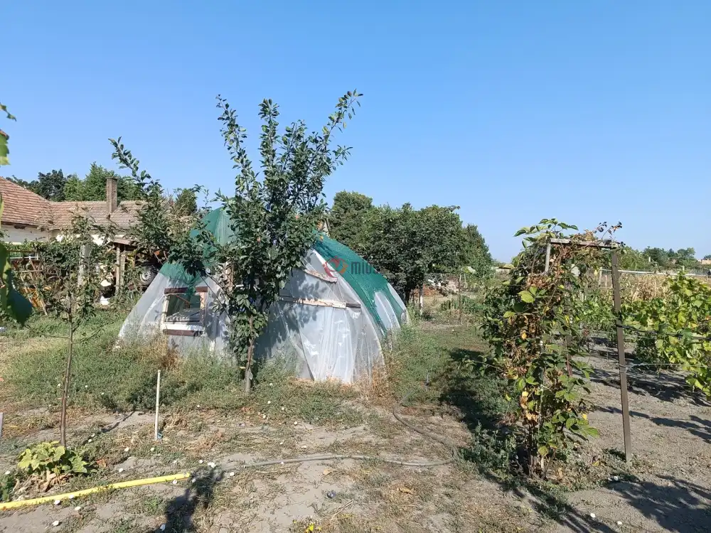 Pest megye - Pusztavacs