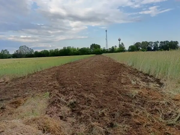 Eladó Építési telek, Albertirsa 1 m² 1.5 M Ft