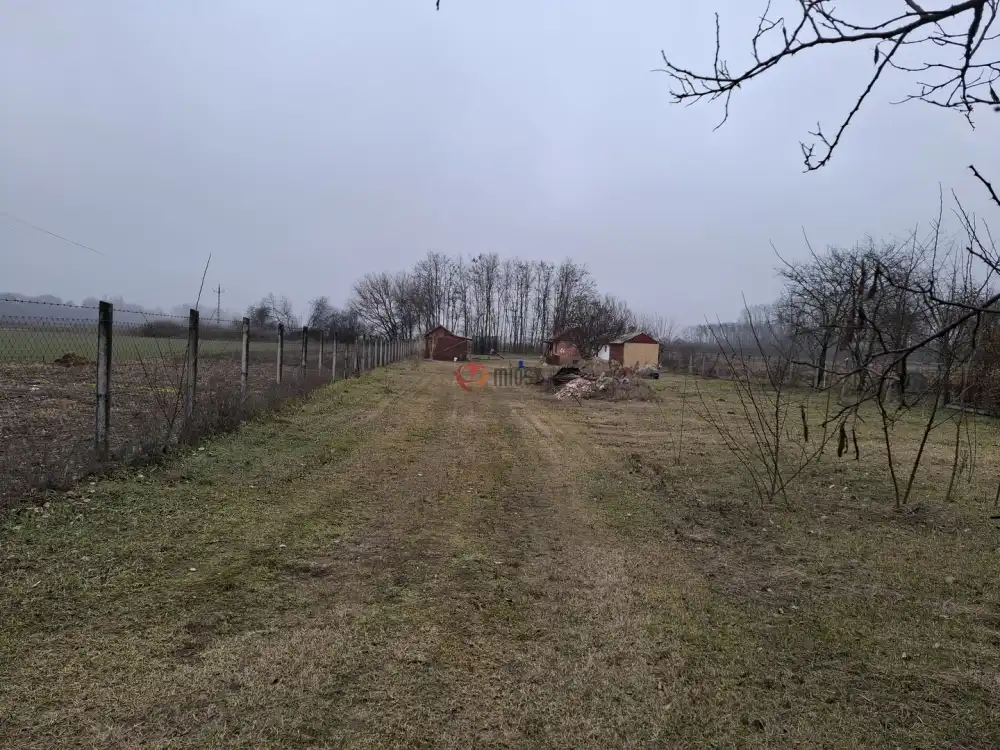 Pest megye - Monorierdő
