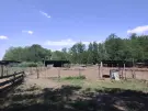 Bács-Kiskun megye - Szentkirály