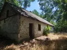 Bács-Kiskun megye - Szentkirály