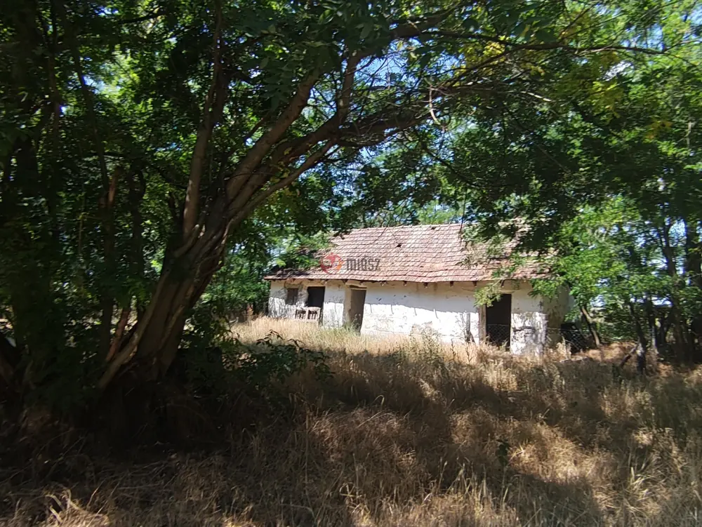 Bács-Kiskun megye - Szentkirály