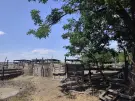 Bács-Kiskun megye - Szentkirály