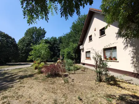 Eladó mezőgazdasági ingatlan, Szentkirály 62371 m² 198.5 M Ft