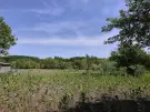 Pest megye - Pilis