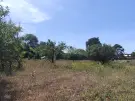 Pest megye - Pilis