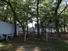 Bács-Kiskun megye - Lajosmizse