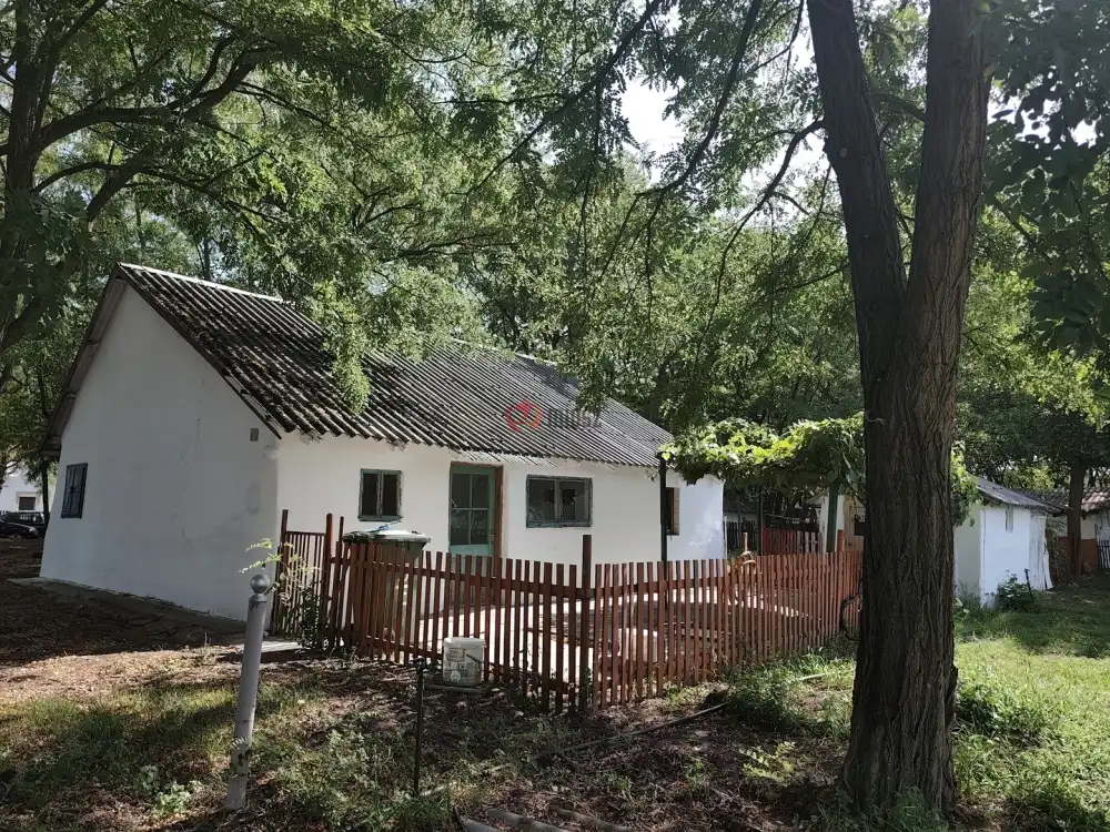 Bács-Kiskun megye - Lajosmizse